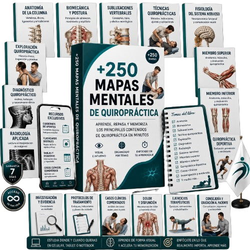 Kit +250 Mapas Mentales de Quiropráctica
